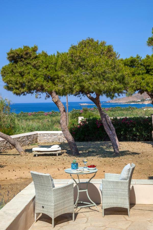 포시드호니아 Dellagracia Mansion In Poseidonia Syros 빌라 외부 사진