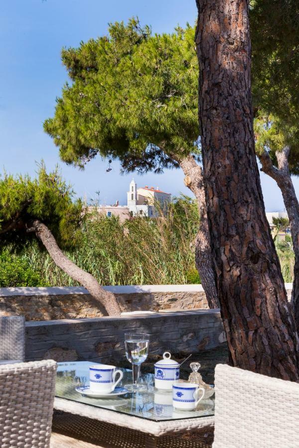 포시드호니아 Dellagracia Mansion In Poseidonia Syros 빌라 외부 사진